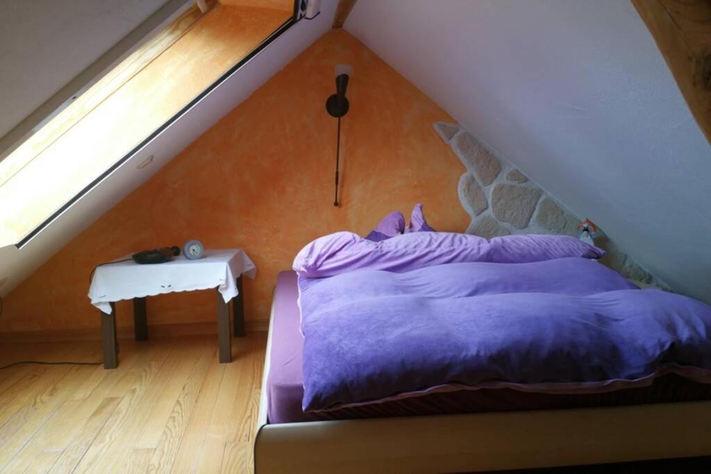 Ferienwohnung Roswitha In Blieskastel Biesingen Luaran gambar