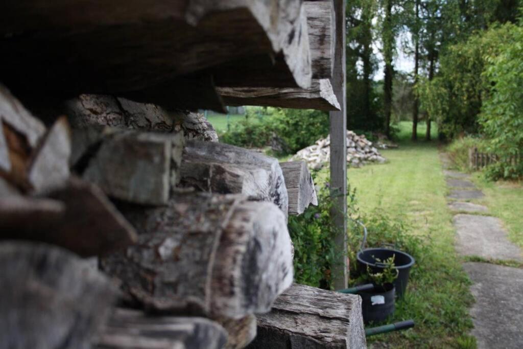 Ferienwohnung Roswitha In Blieskastel Biesingen Luaran gambar